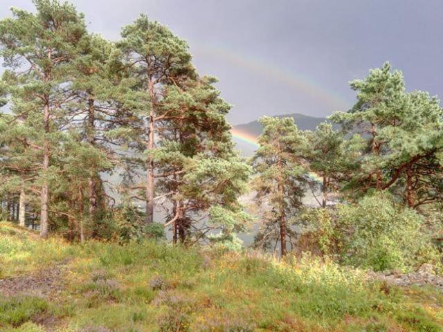 Sognevegen 2242